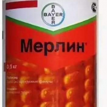 Мерлин 